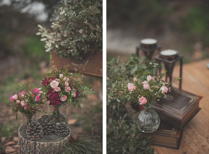 Boda finca Los Enebrales