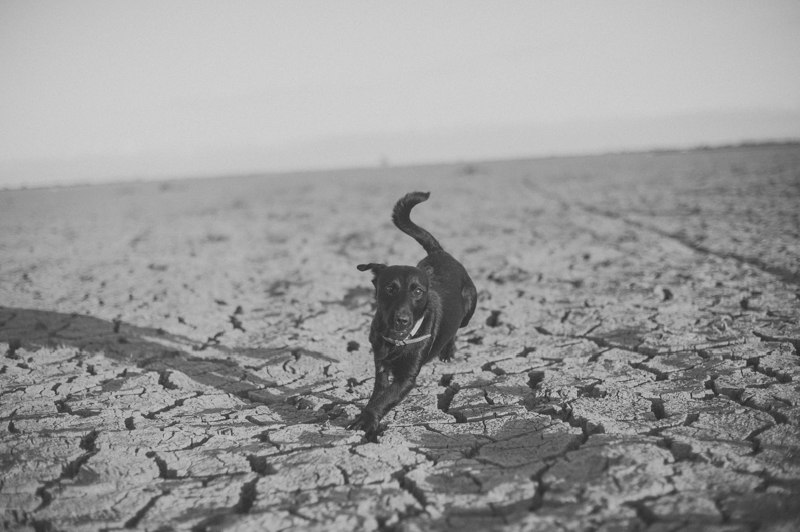 Sesión de pareja Isla Mínima Sevilla