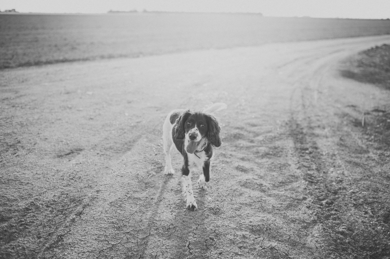 Sesión de pareja Isla Minima Sevilla